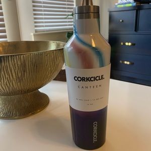 Corkcicle canteen water bottle